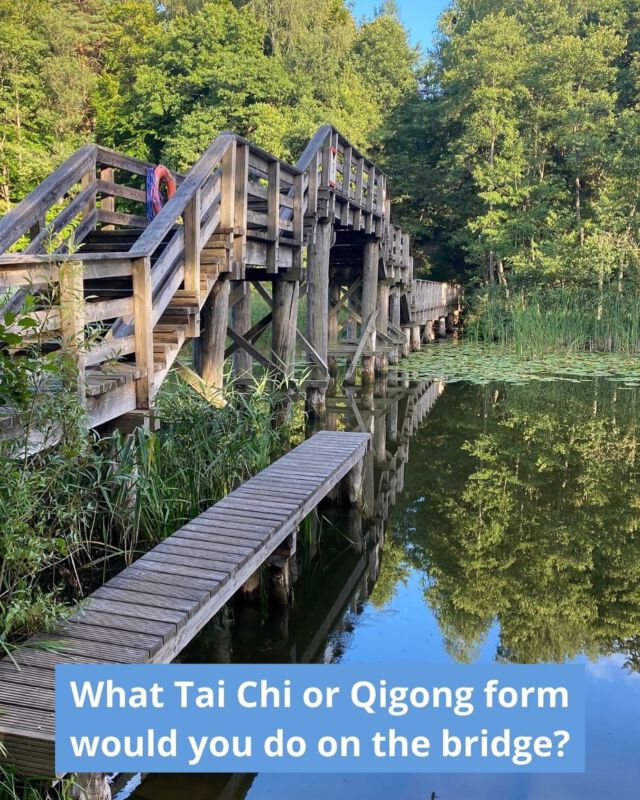 In some places you have the feeling of practicing a special Tai Chi or Qigong. We felt like meridian qigong. ✨What Tai Chi or Qigong form would you do on the bridge? 💛#taijifit #qigongpractice #qigongeveryday #taichi #healthylifestyle #mentalhealth
