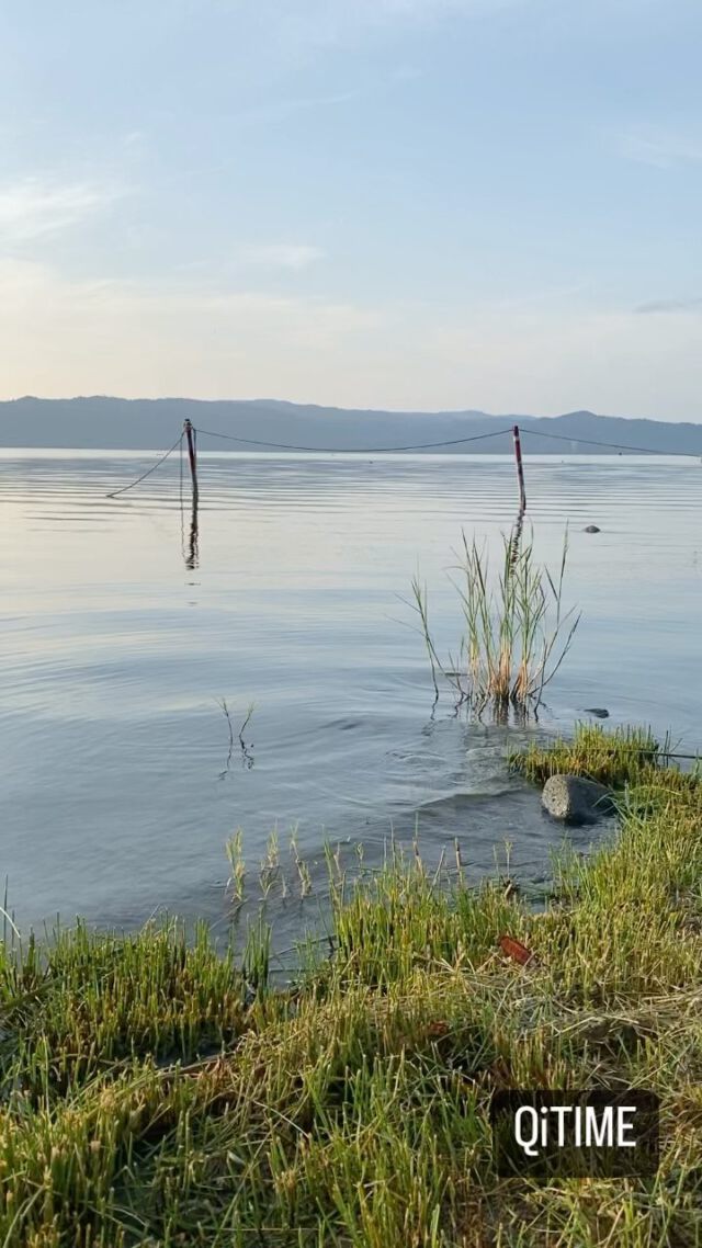 In the calmness is movement … in the movement is calmness. #ghana #thoughts #qigong #taichi #qitime #health #morningroutine #practices #beautifulplaces